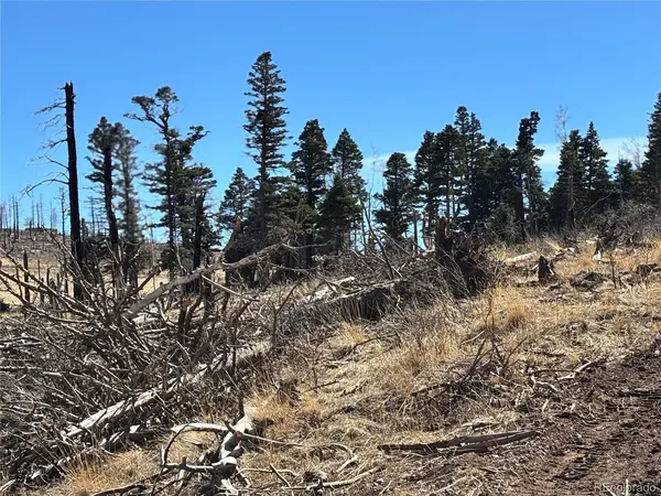 0 Forbes Park Rd., Fort Garland, CO 81133