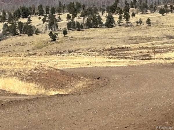 0 Forbes Park Rd., Fort Garland, CO 81133