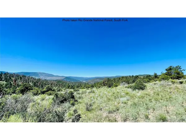 976 Kenosha, South Fork, CO 81154