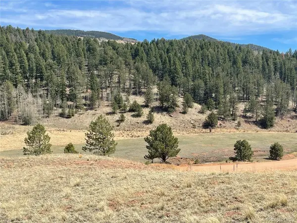323 Gold King, Cripple Creek, CO 80813