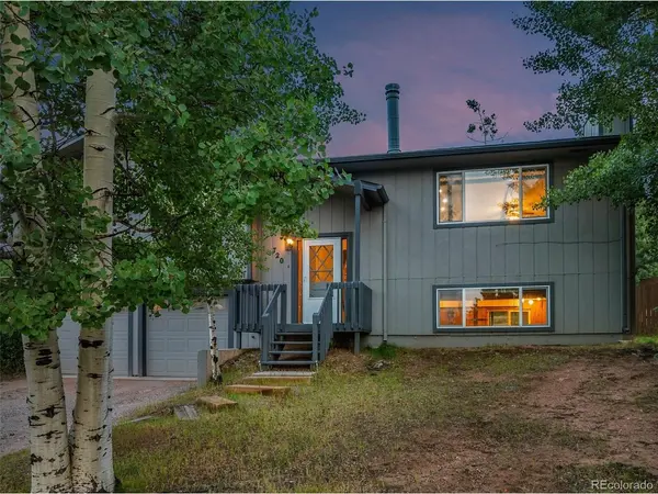 720 W Northwoods, Woodland Park, CO 80863