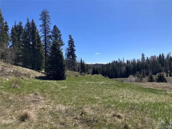 222 Lost Valley, Creede, CO 81130