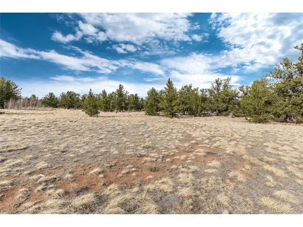 1798 Mullenville, Fairplay, CO 80440