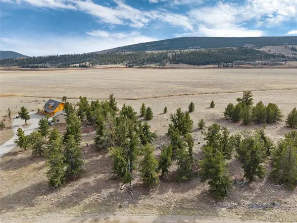 1798 Mullenville, Fairplay, CO 80440