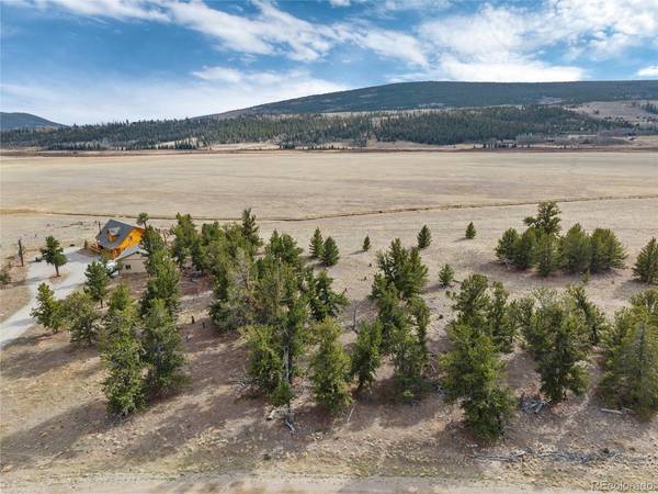 1798 Mullenville, Fairplay, CO 80440