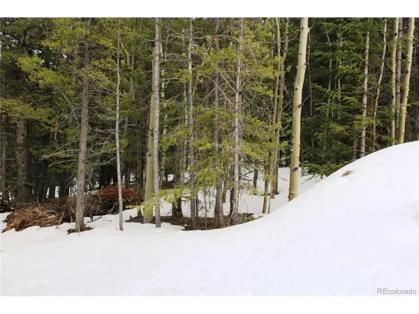 0 Miners Mesa, Black Hawk, CO 80422
