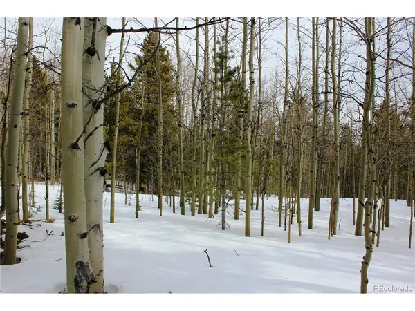 0 Miners Mesa, Black Hawk, CO 80422