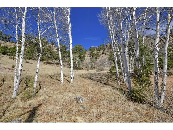 221 Floresta, Florissant, CO 80816