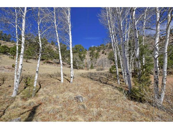 221 Floresta, Florissant, CO 80816