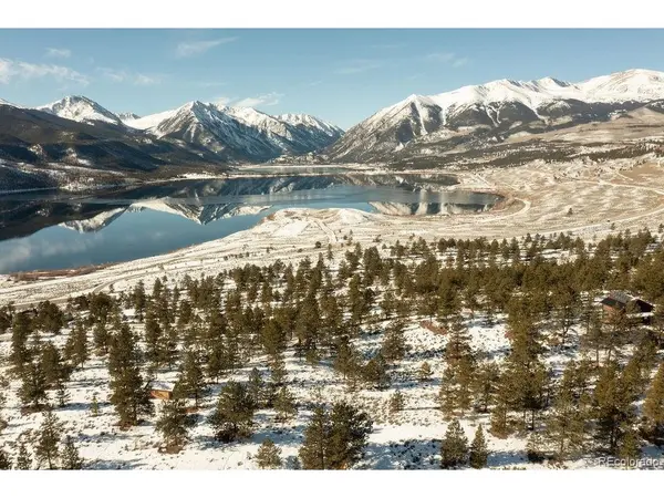 6 Ross, Granite, CO 81228
