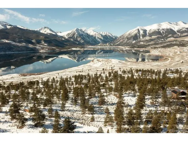 6 Ross, Granite, CO 81228
