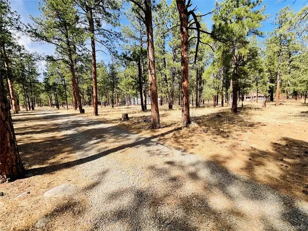 BLK 4 LOT 6, Weston, CO 81091