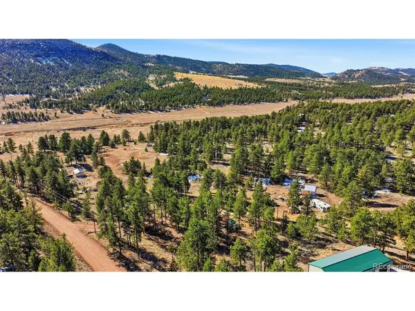 133 Wagon Wheel, Guffey, CO 80820