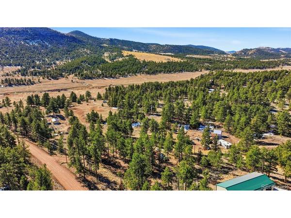 133 Wagon Wheel, Guffey, CO 80820