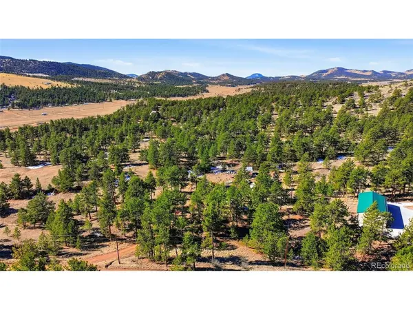 133 Wagon Wheel, Guffey, CO 80820