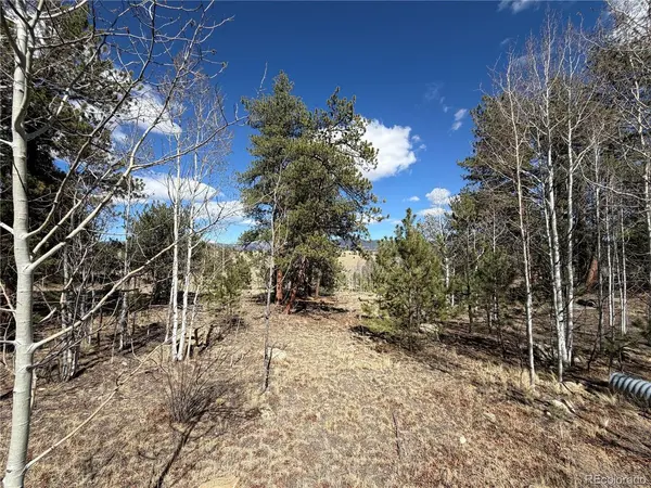 239 Shenandoah, Hartsel, CO 80449