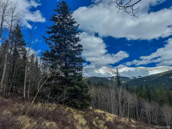 Buckeye Gulch Road, Leadville, CO 80461