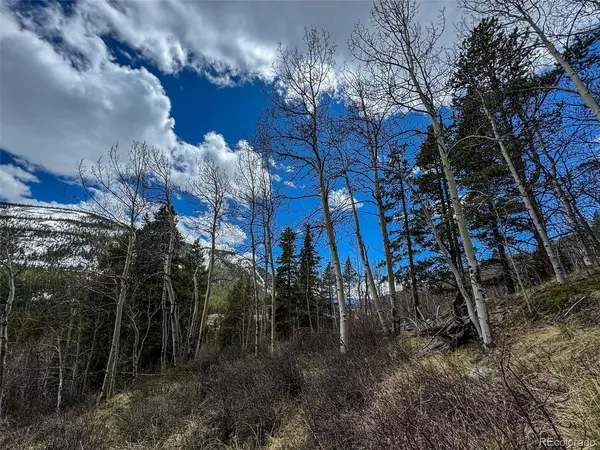 Buckeye Gulch Road, Leadville, CO 80461