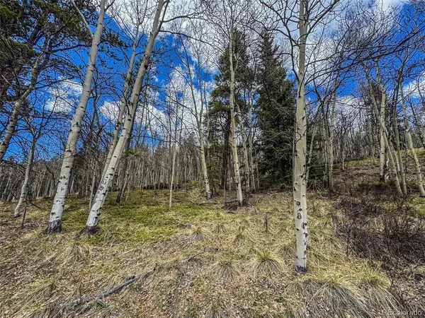 Buckeye Gulch Road, Leadville, CO 80461