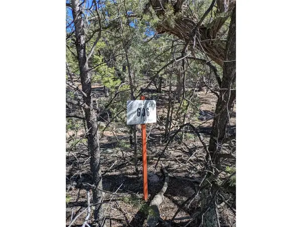 606 Peaceful, Crestone, CO 81131