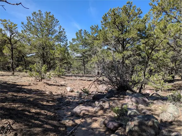 606 Peaceful, Crestone, CO 81131