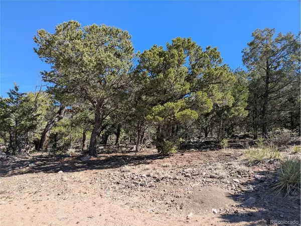 606 Peaceful, Crestone, CO 81131