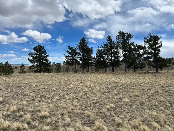 304 Brahma, Hartsel, CO 80449