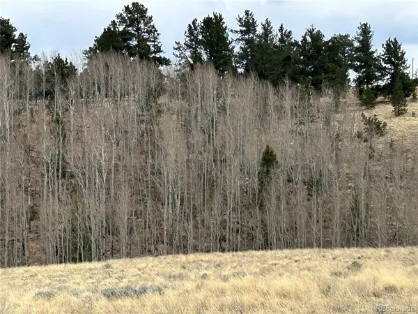 304 Brahma, Hartsel, CO 80449