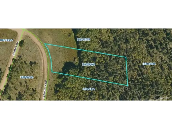 266 Summit, Florissant, CO 80816