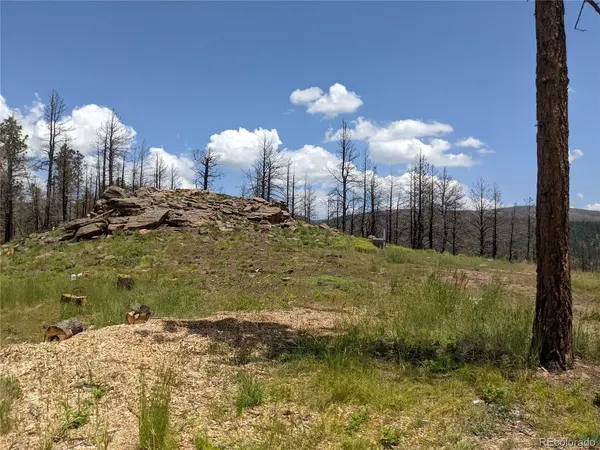 549 Drevs, Fort Garland, CO 81133