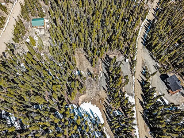 313 Porcupine, Fairplay, CO 80440