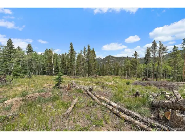 151 Golden Leaf, Black Hawk, CO 80422