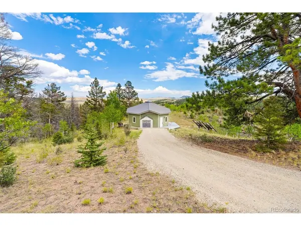 65 Riata, Hartsel, CO 80449