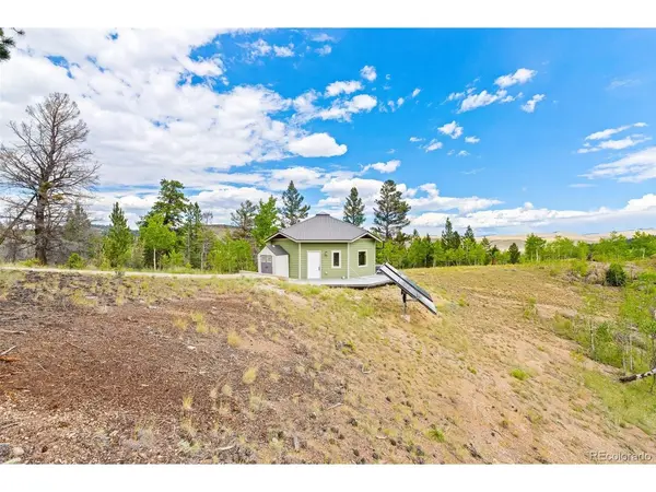 65 Riata, Hartsel, CO 80449