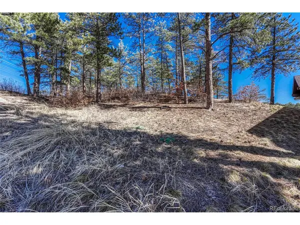 2111 Ramblewood, Castle Rock, CO 80104