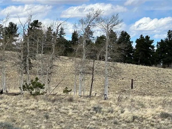 187 Angus, Hartsel, CO 80449