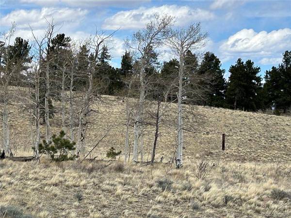 187 Angus, Hartsel, CO 80449