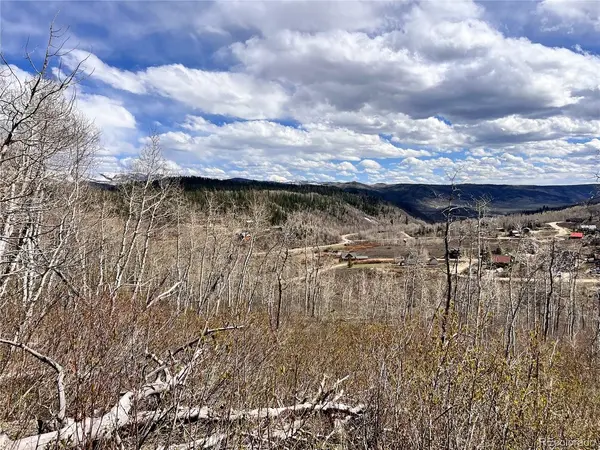 57960 Longfellow, Clark, CO 80428
