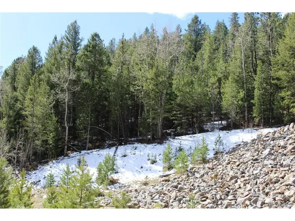 0 Missouri Flats, Central City, CO 80427