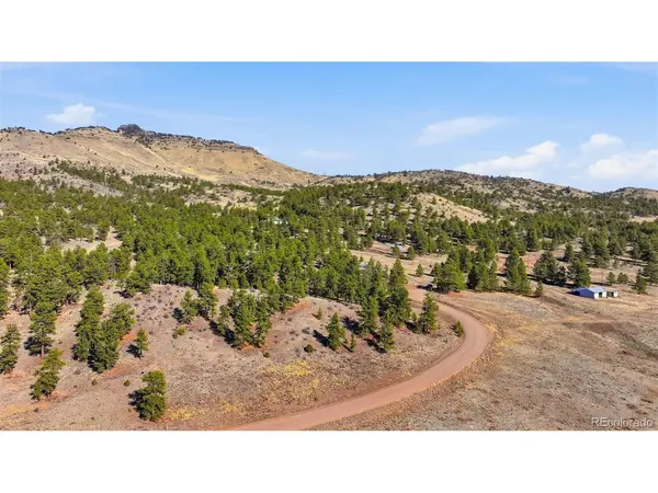 50 Stage Coach, Guffey, CO 80820