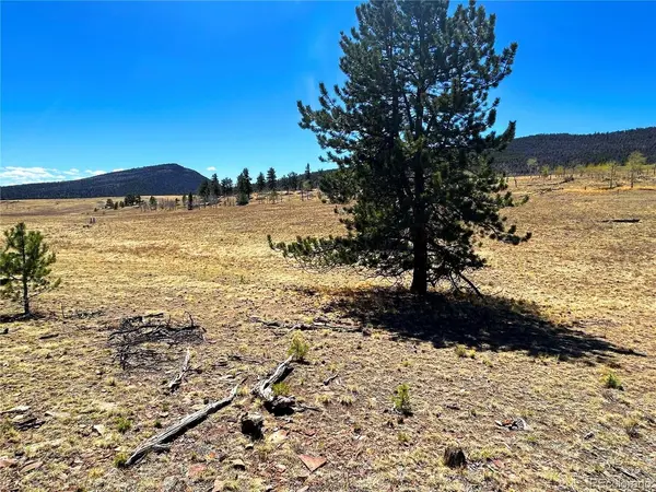 Singletree, Buena Vista, CO 81211
