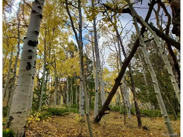 2000 Hard Hickory, Guffey, CO 80820