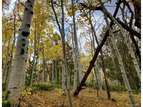 2000 Hard Hickory, Guffey, CO 80820