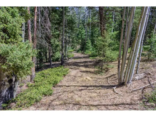 2763 N Mountain Estates, Florissant, CO 80816