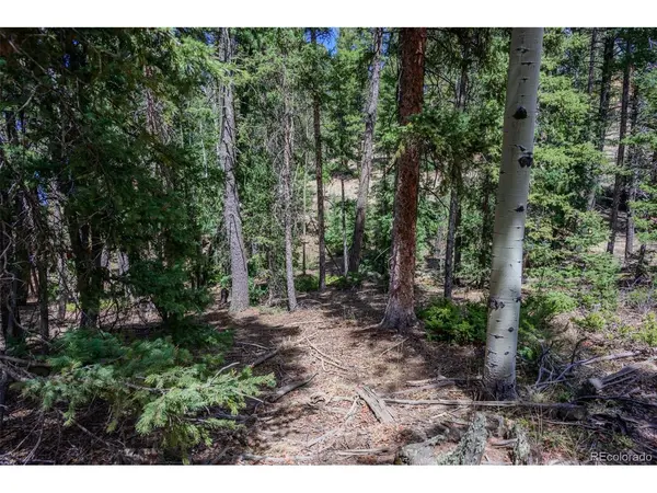 2763 N Mountain Estates, Florissant, CO 80816