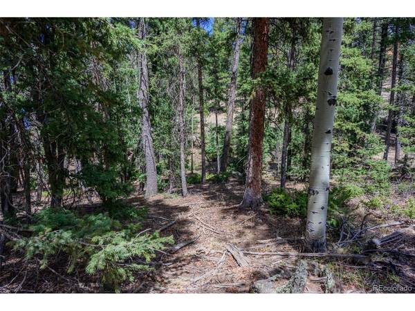 2763 N Mountain Estates, Florissant, CO 80816