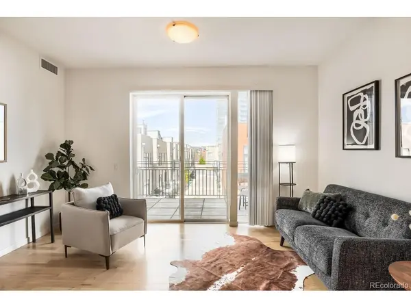 1438 Little Raven #308, Denver, CO 80202
