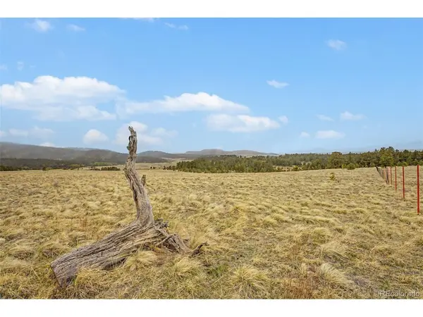 0 Ranger Station, Florissant, CO 80816