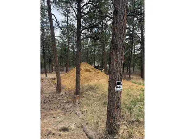 636 Copper Fox, Larkspur, CO 80118
