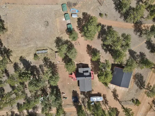 881 Trail Creek, Lake George, CO 80827